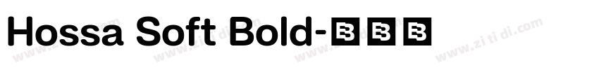 Hossa Soft Bold字体转换